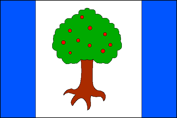 city flag