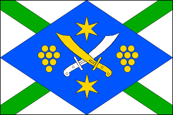 city flag