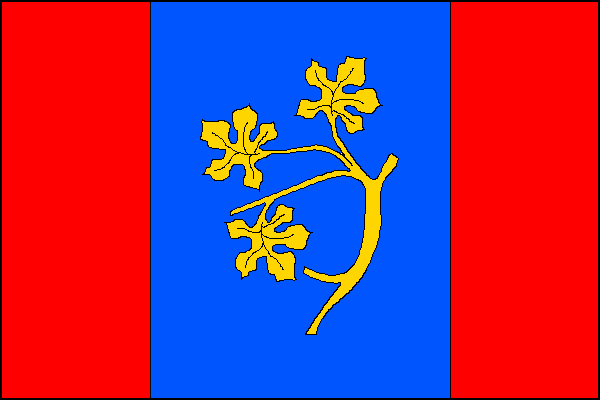 city flag