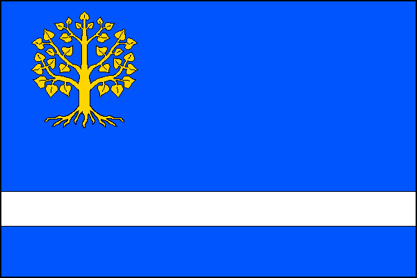 city flag