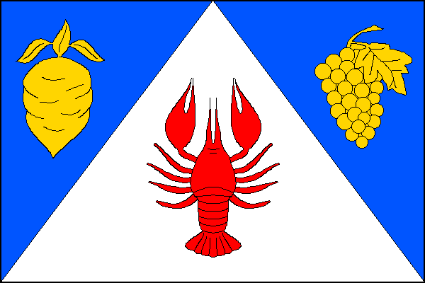 city flag