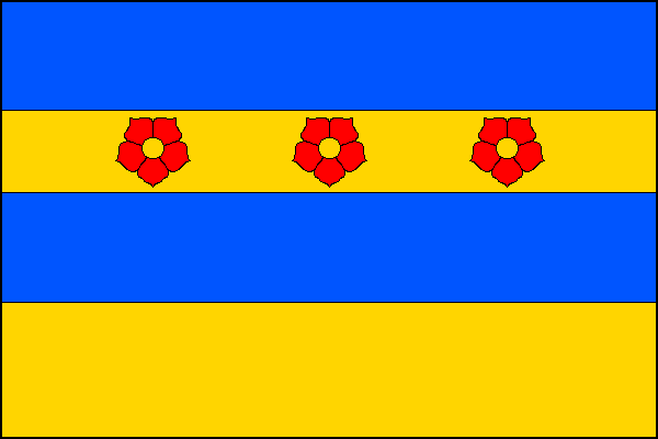 city flag