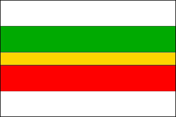 city flag