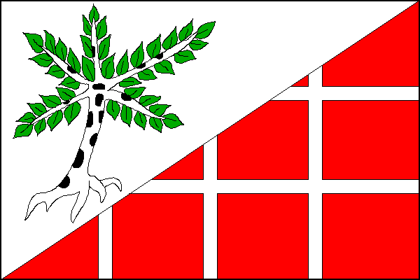 city flag