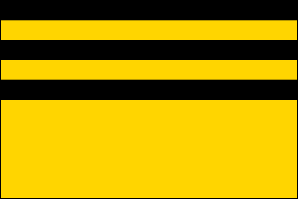 city flag