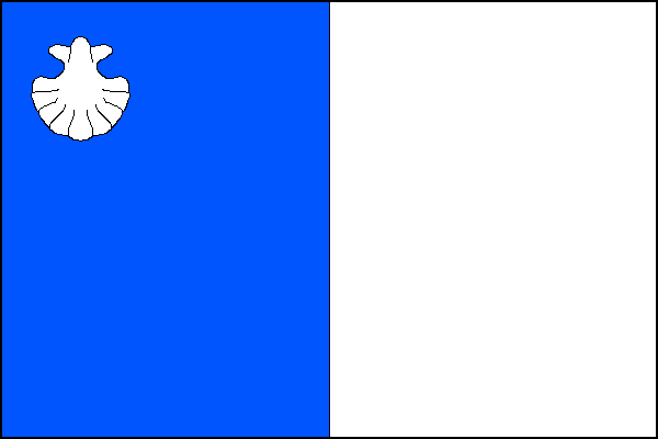 city flag