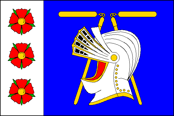 city flag