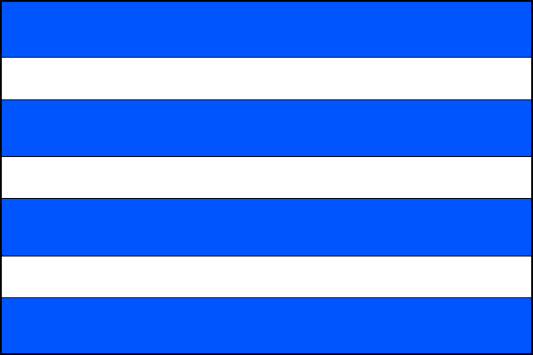 city flag