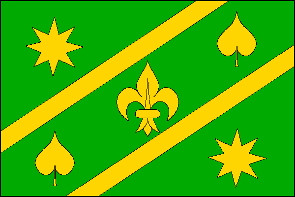 city flag