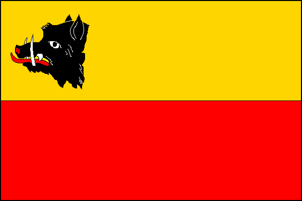 city flag