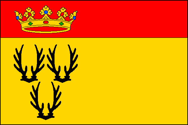 city flag