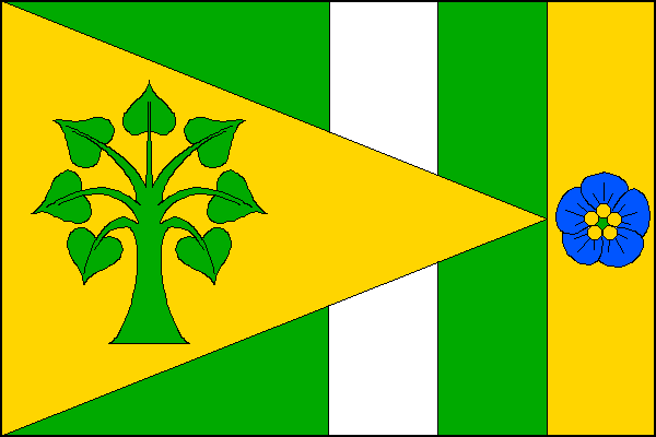 city flag