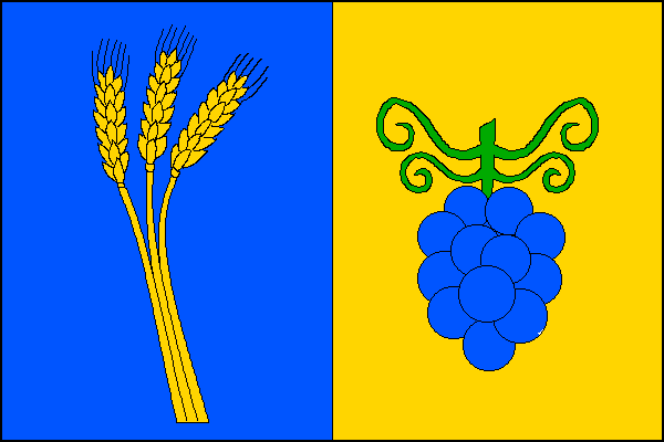 city flag