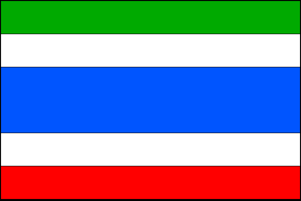 city flag