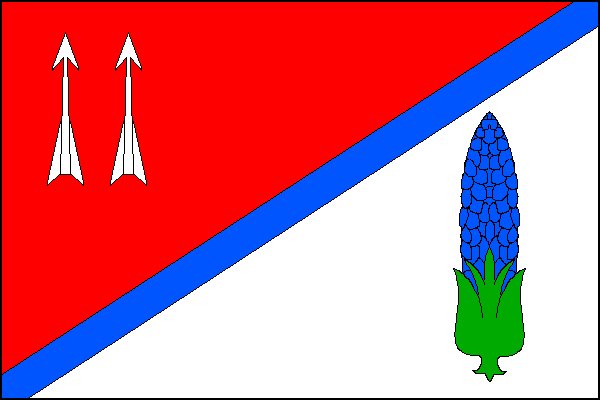 city flag