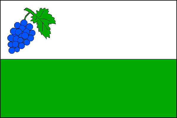 city flag