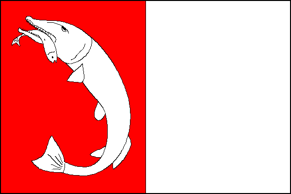 city flag